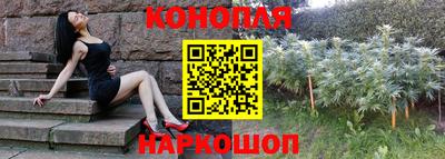 шишки Ливны