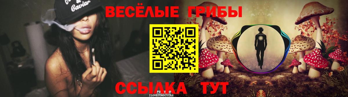 Псилоцибиновые грибы мицелий Ипатово